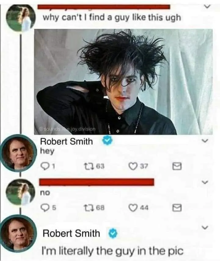 Cure (band) meme