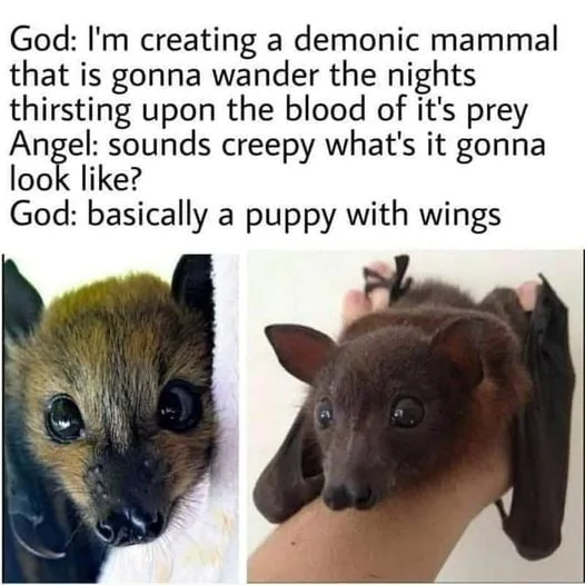 bat meme