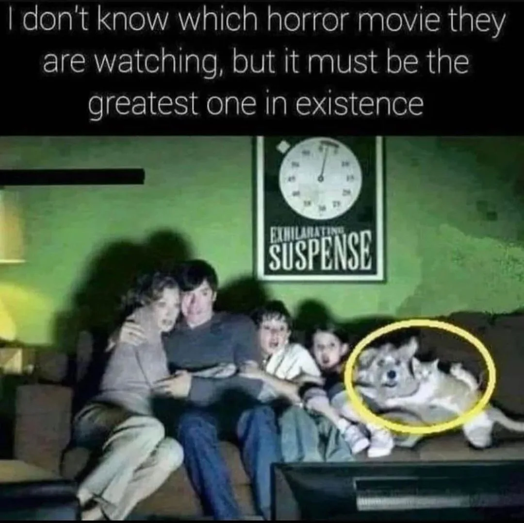 horror film meme