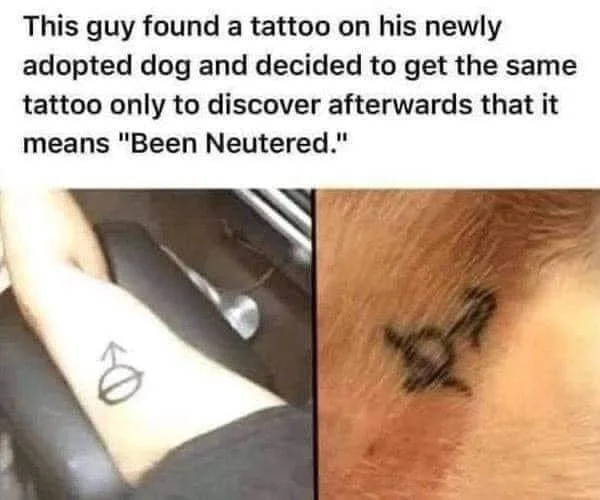 neuter meme