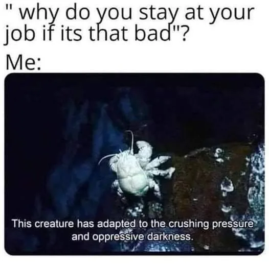 quitting meme