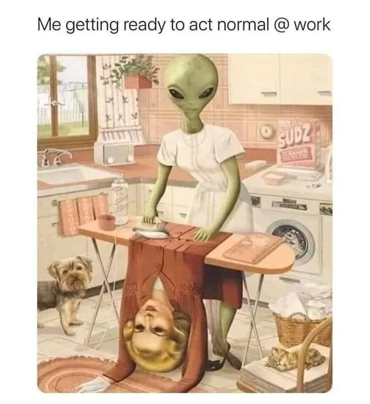 normality meme