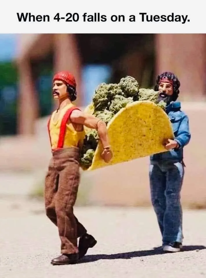 taco meme
