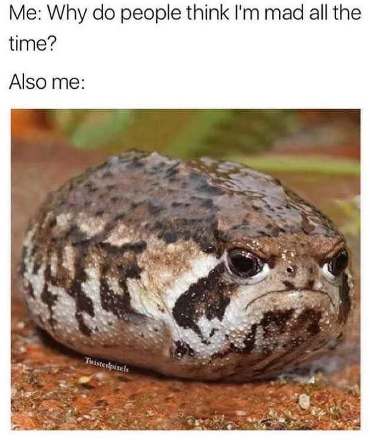 resting bitch face meme