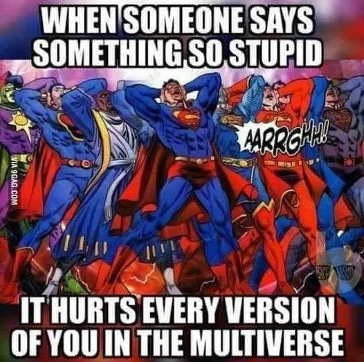 stupidity meme