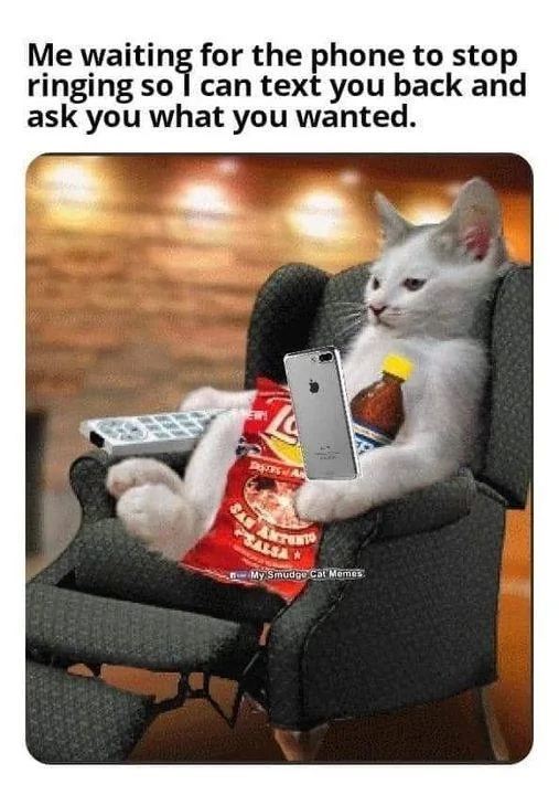 telephone call meme