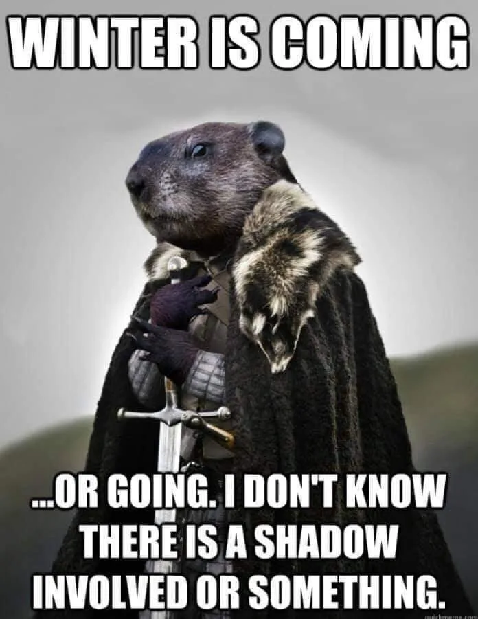 Groundhog Day meme