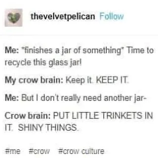 jar meme