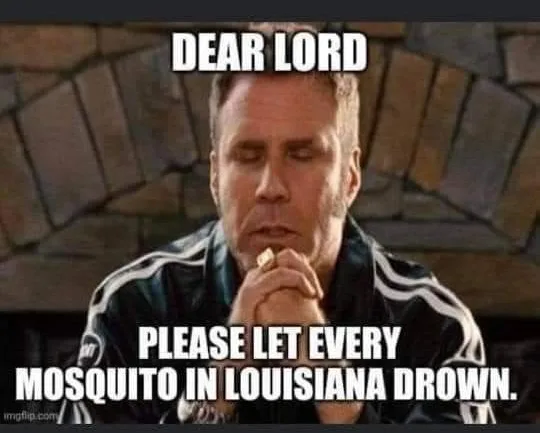 mosquito meme