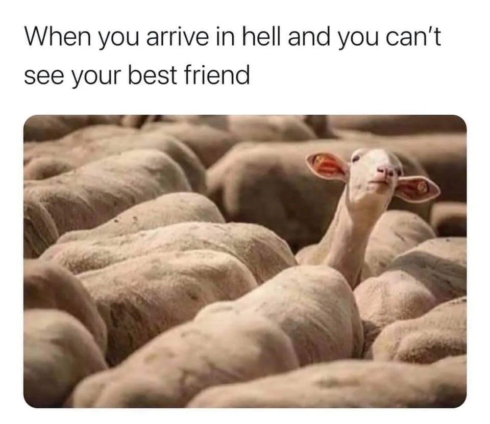 hell meme