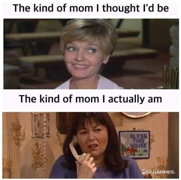 motherhood meme