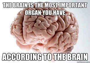 brain meme