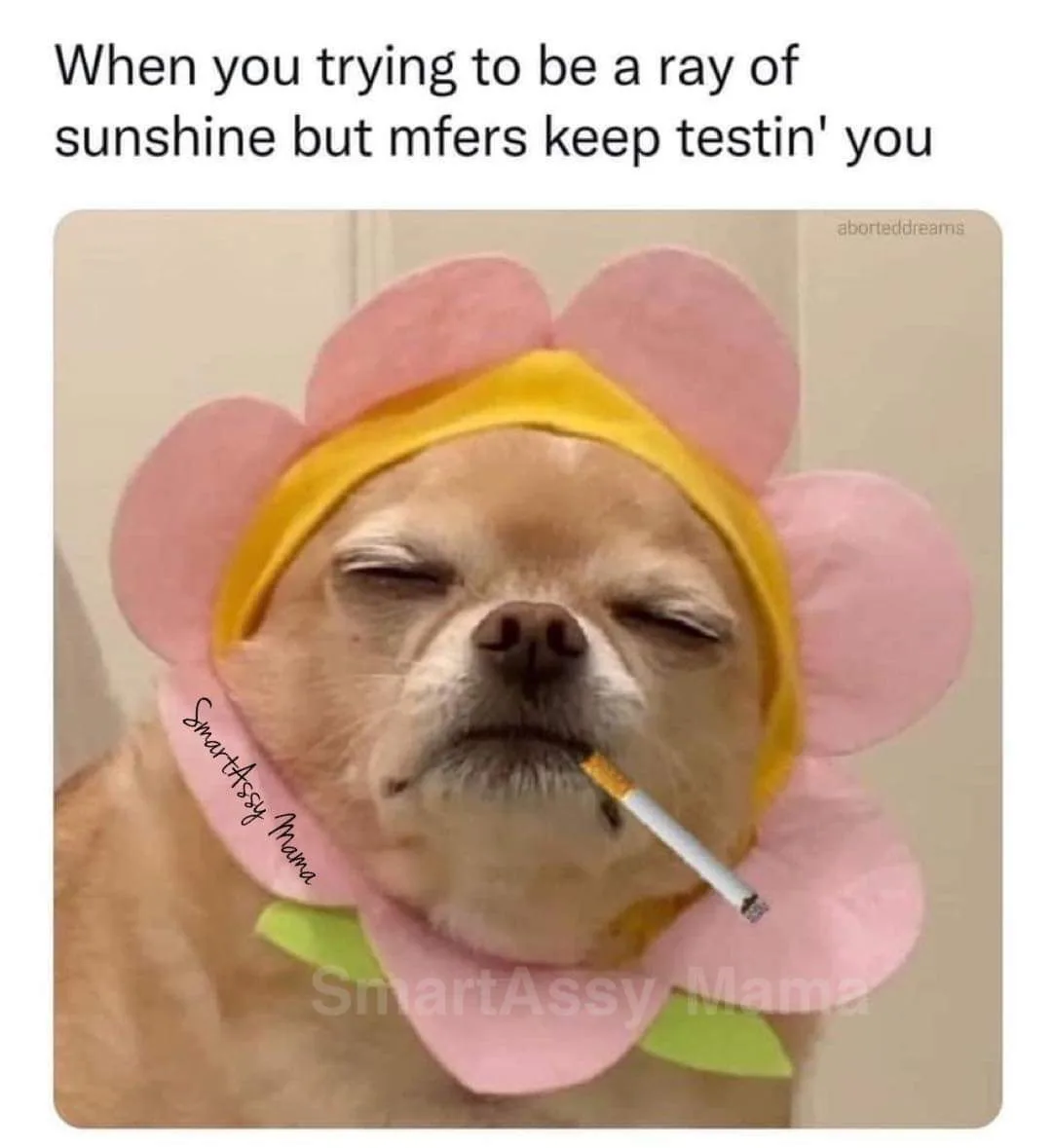 annoyance meme
