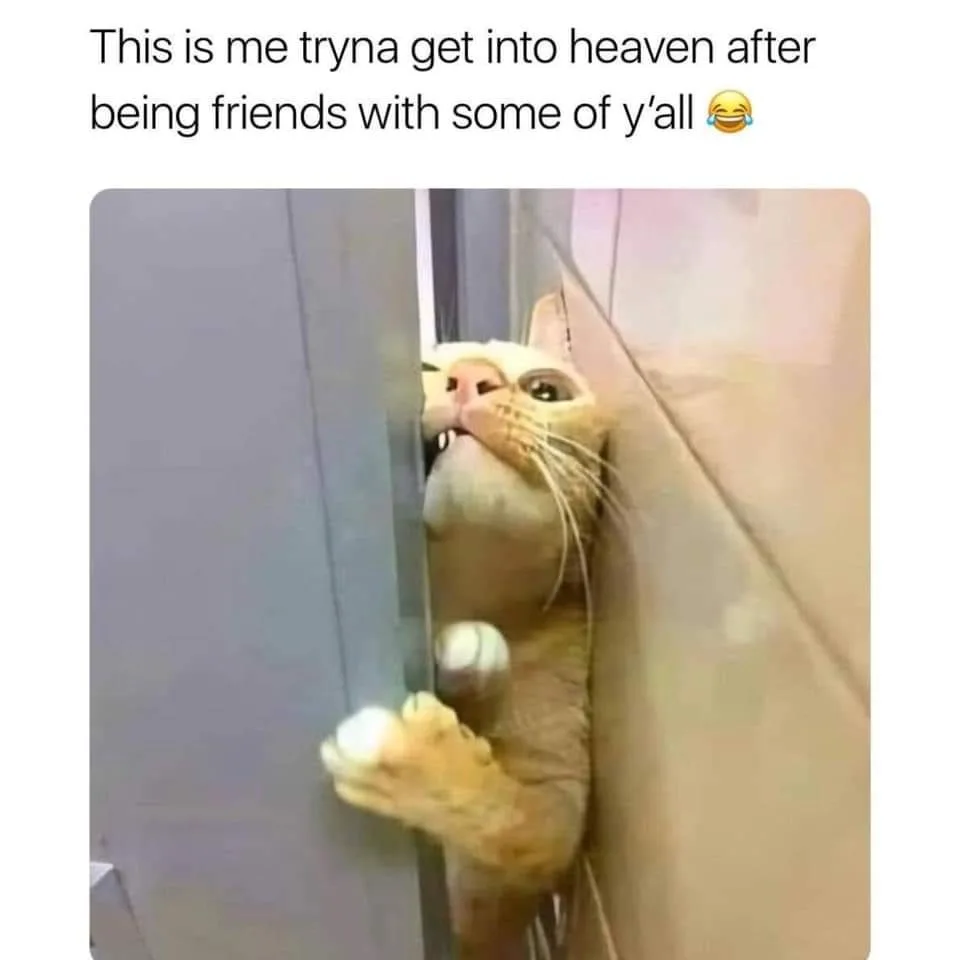 heaven meme