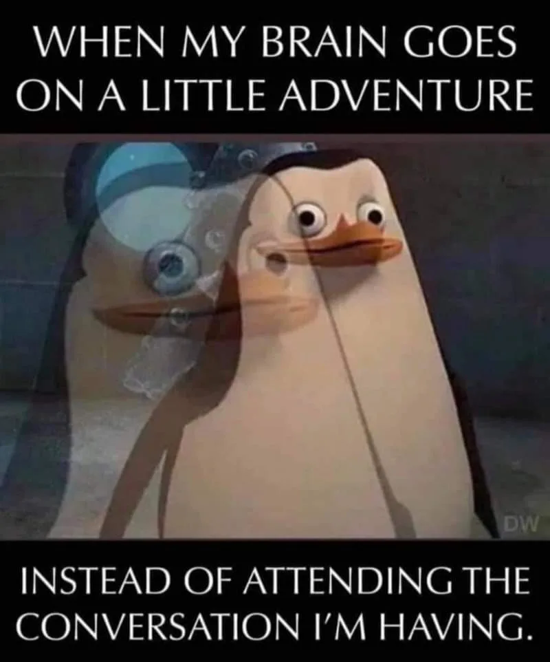 paying attention meme