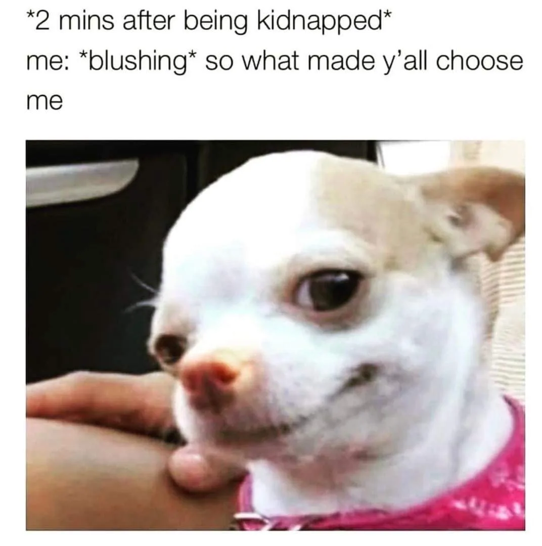 flattery meme