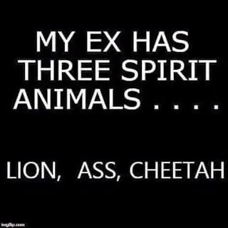 spirit animal meme