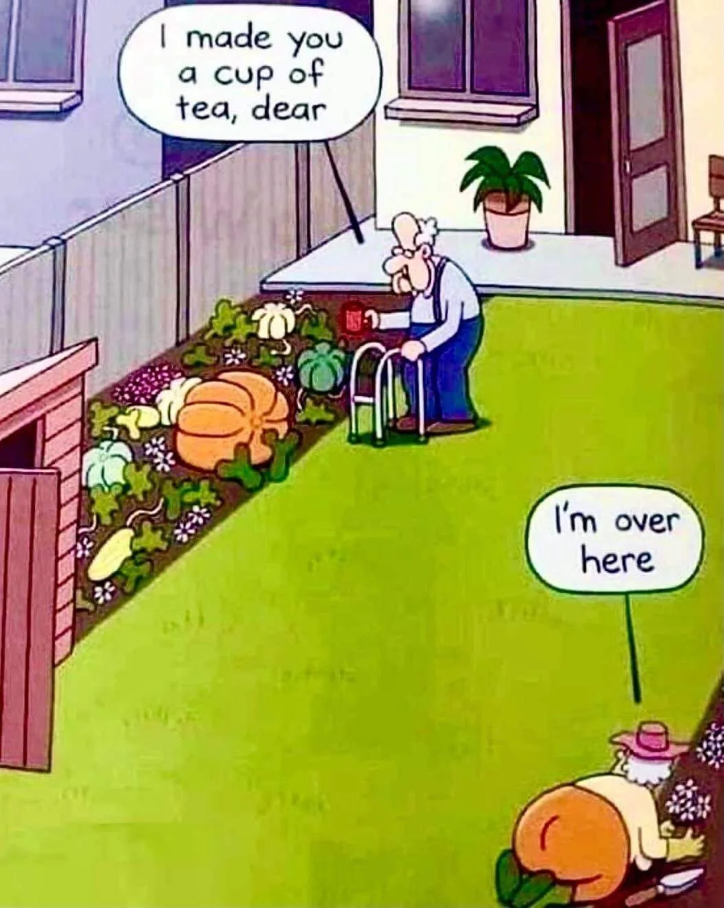 pumpkin meme