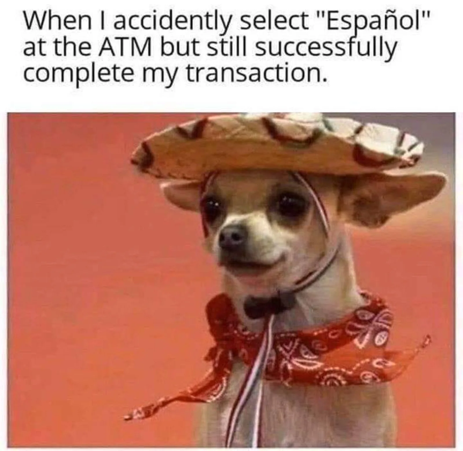 foreign language meme