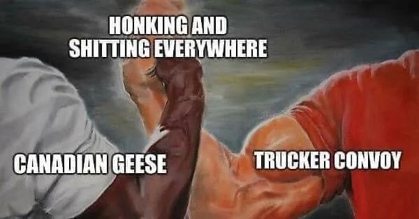 geese meme