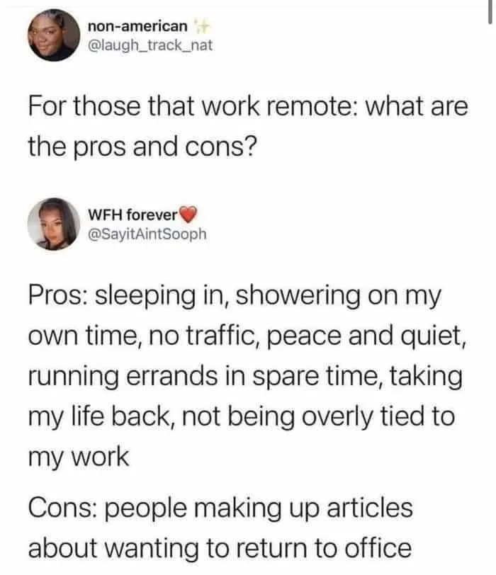 working remotely meme
