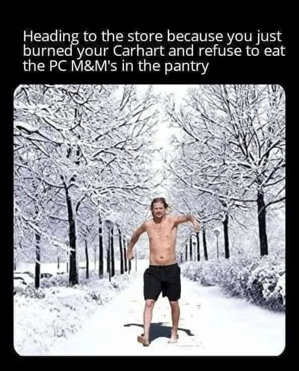 political correctness meme