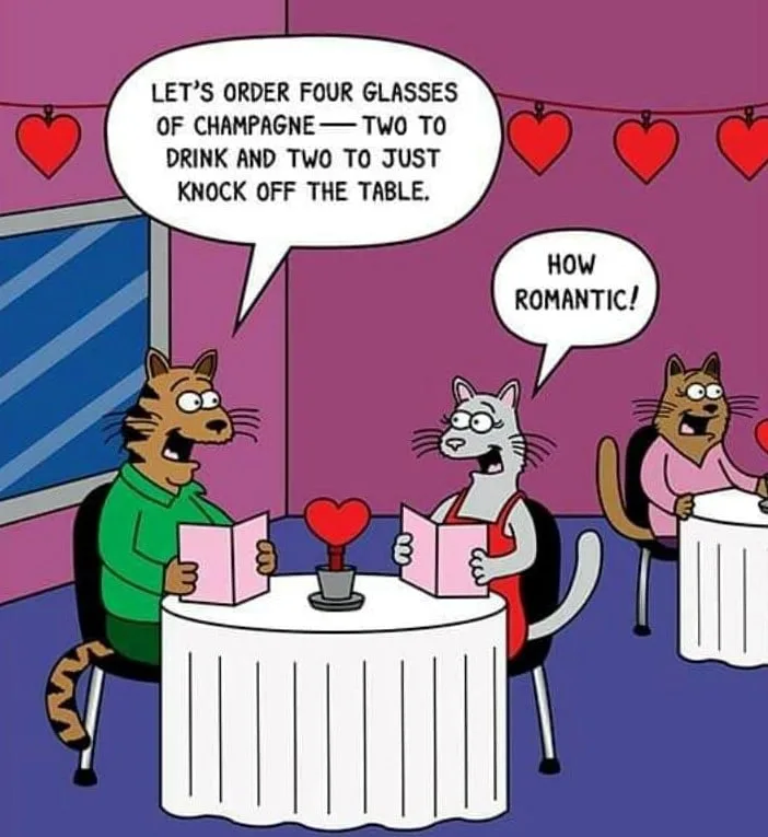 knocking things off the table meme