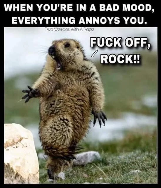 bad mood meme