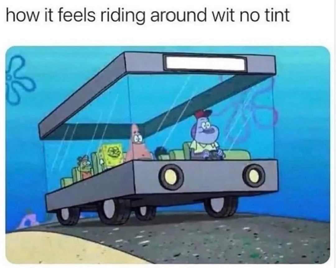 tinted windows meme