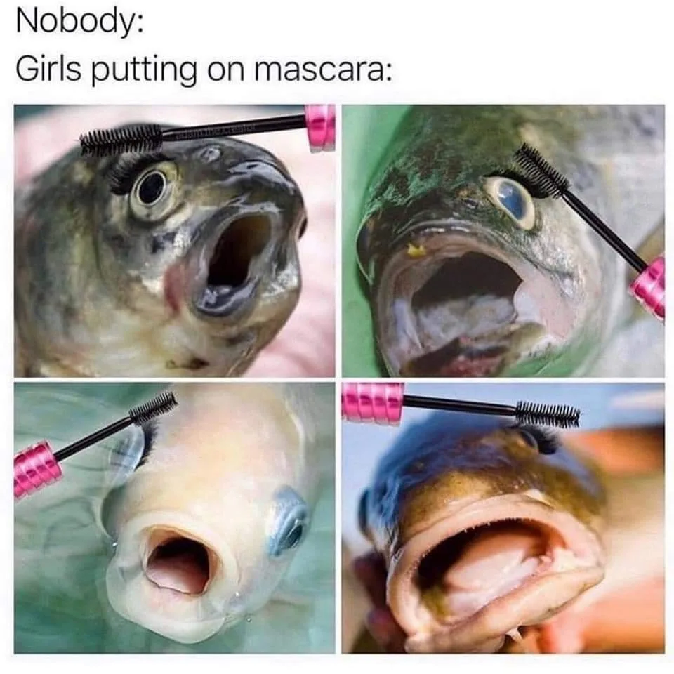 mascara meme