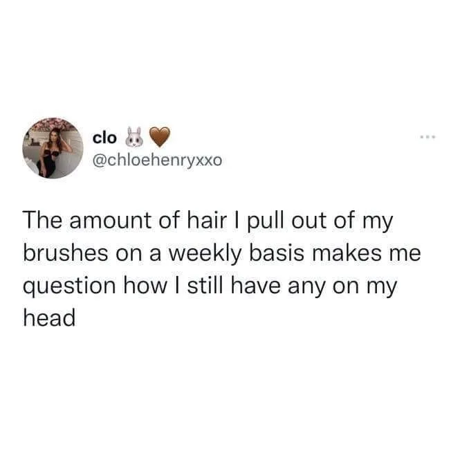 baldness meme