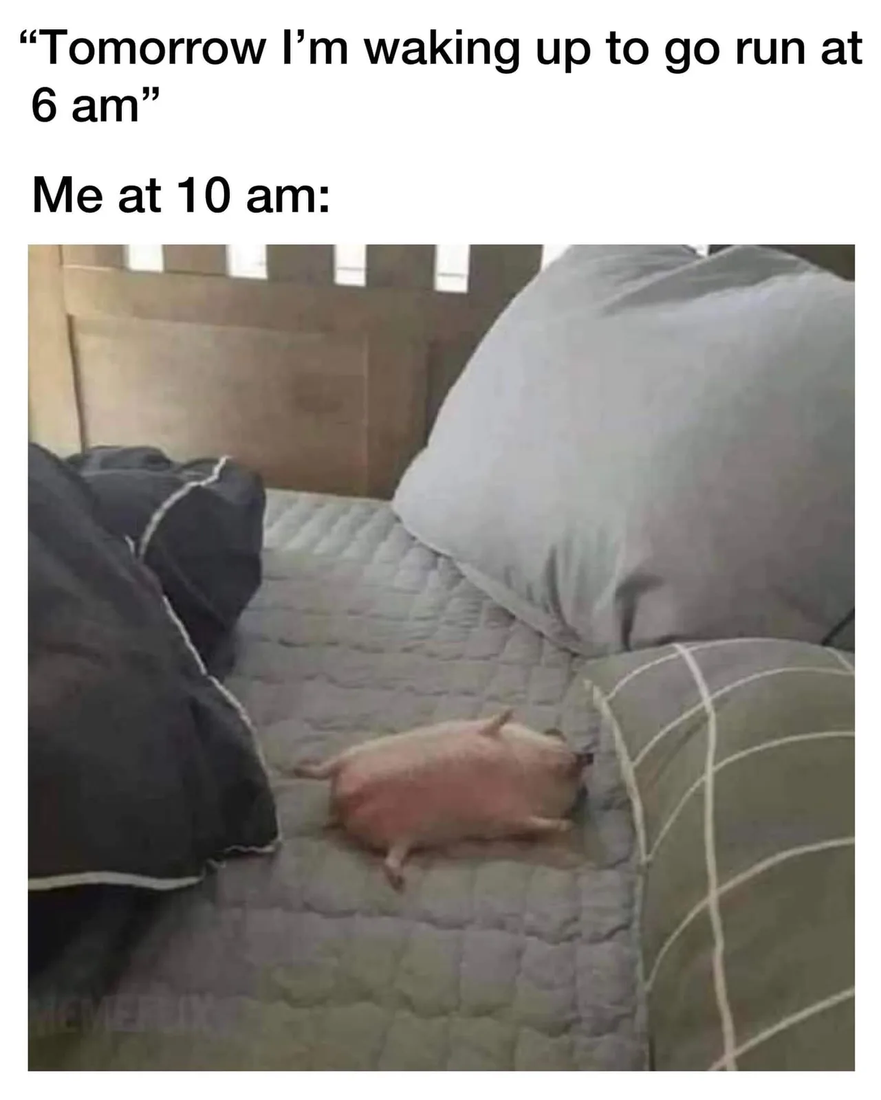 jogging meme