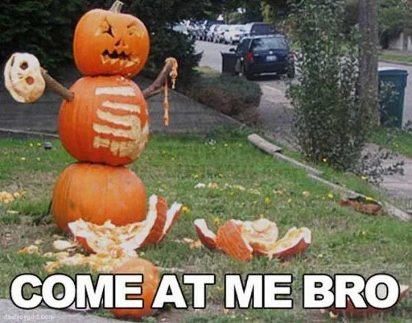 pumpkin meme