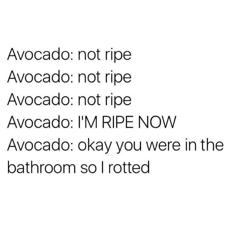 avocado meme