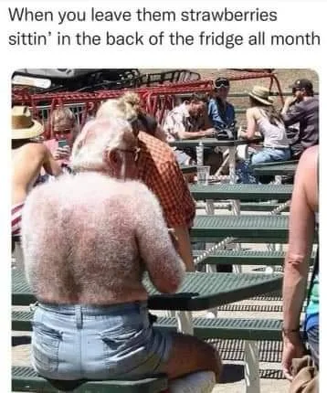 refrigerator meme
