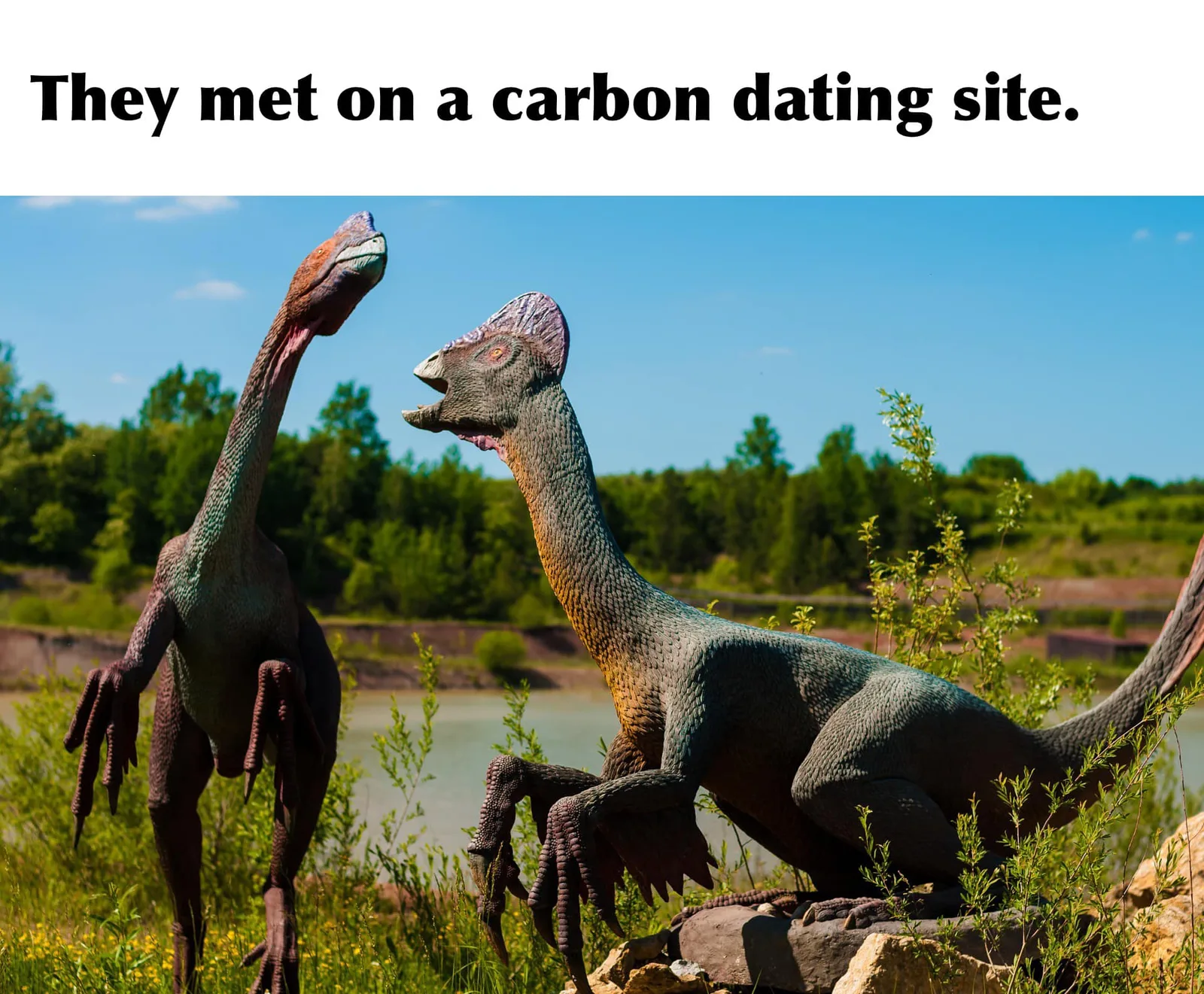 carbon dating meme
