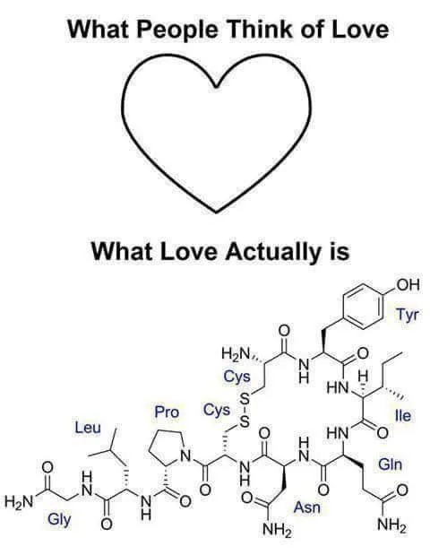 organic chemistry meme