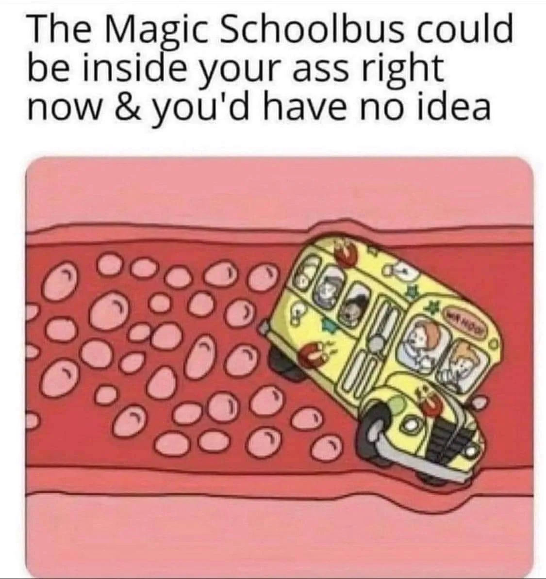 Magic Schoolbus meme
