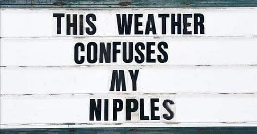 temperature meme