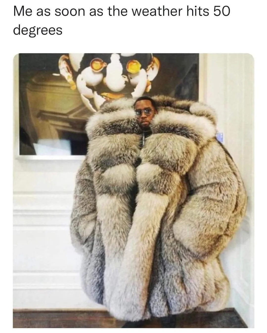 coat meme