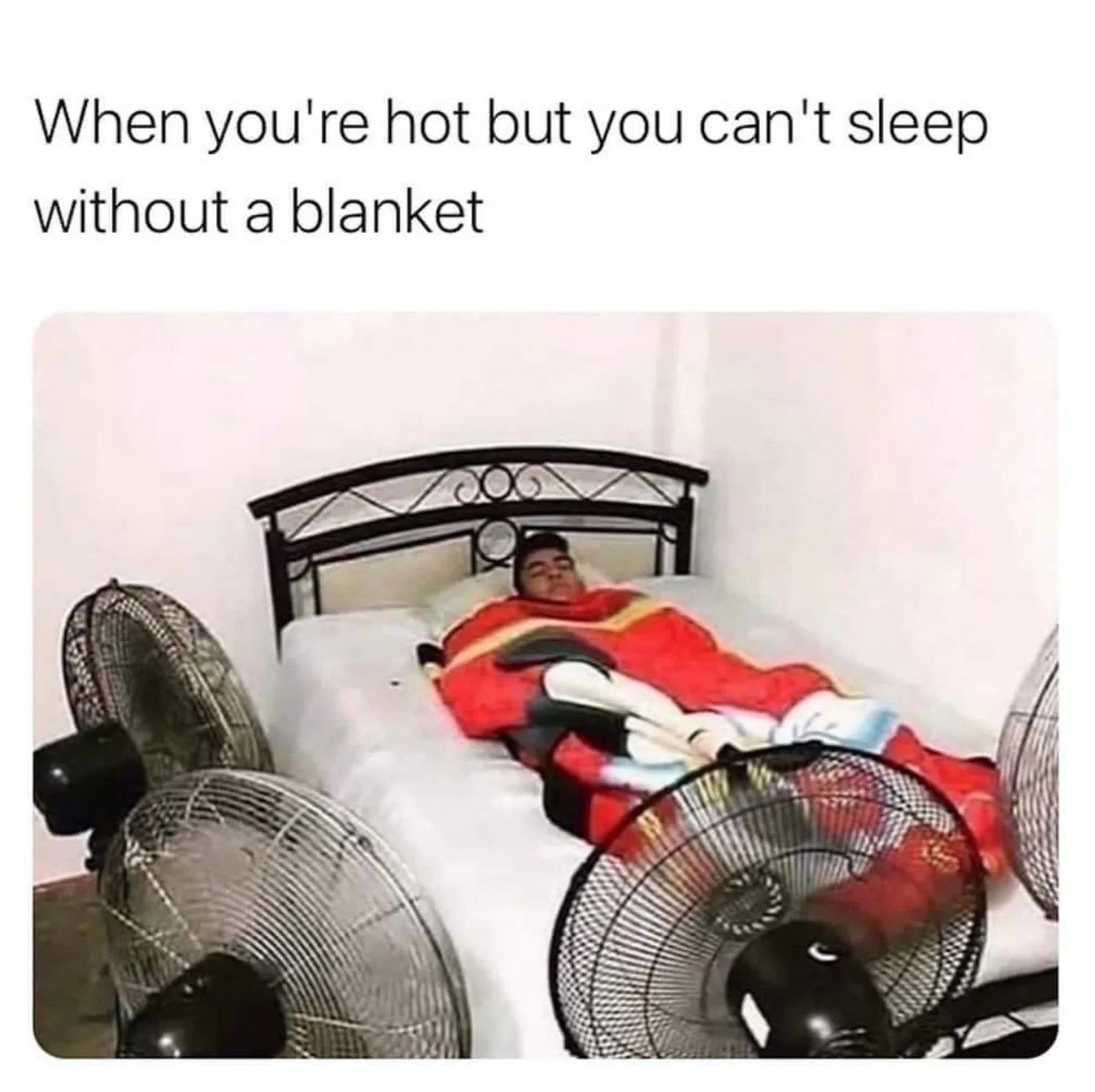 fan meme