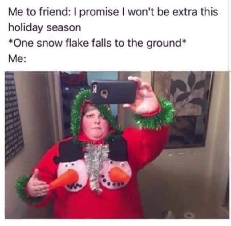 snow meme