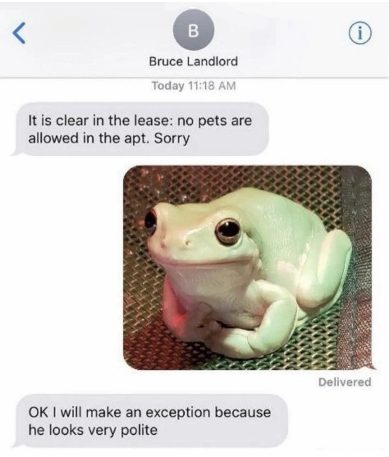 pet meme