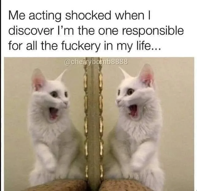 consequences meme