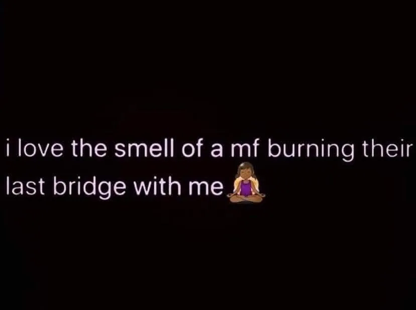 burning bridges meme
