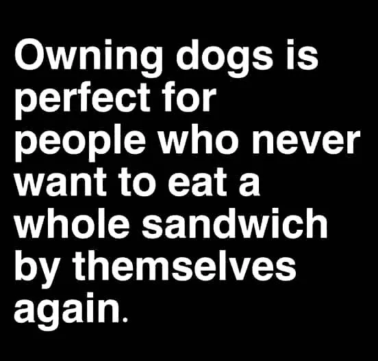 sandwich meme