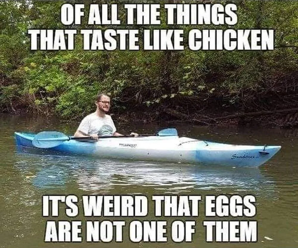 chicken meme