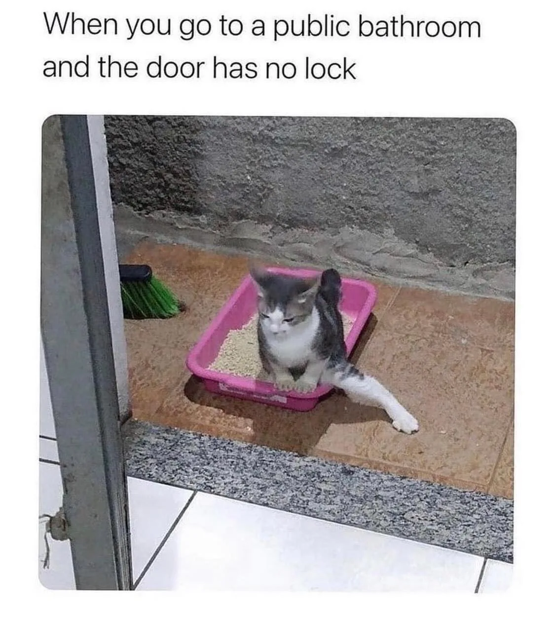 public bathroom meme