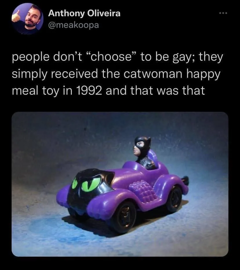 gay meme