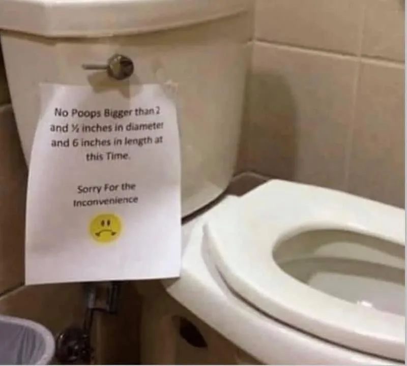 clogging the toilet meme